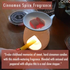 Cello Wax Melt - Cinnamon Spice