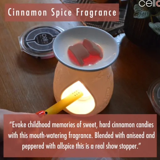 Cello Wax Melt - Cinnamon Spice