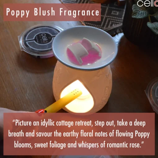 Cello Wax Melt - Poppy Blush