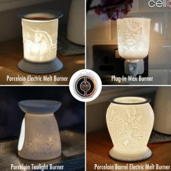 Cello Wax Melt - Spiced Citrus
