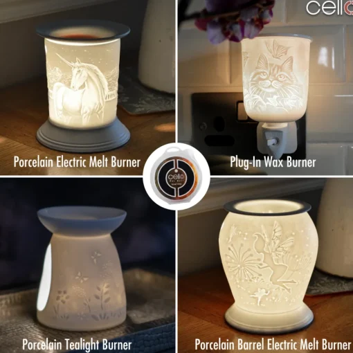 Cello Wax Melt - Spiced Citrus