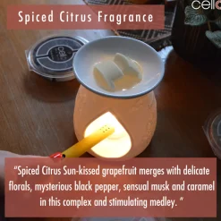 Cello Wax Melt - Spiced Citrus