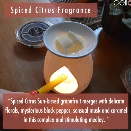 Cello Wax Melt - Spiced Citrus