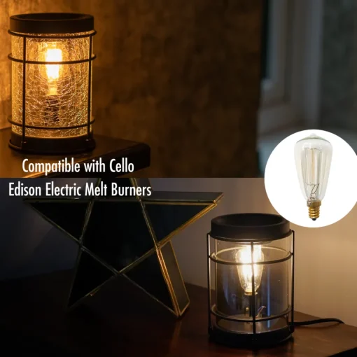Edison Lamp Spare Bulbs 40W