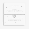 Joma Jewellery Bracelet - A Little Special Grandma