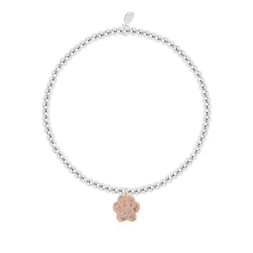 Joma Jewellery Bracelet - A Little Love Has Four Paws
