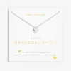 Joma Jewellery Necklace - A Little Granddaughter