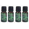 Mixology Fragrance Oil - Pack of 4 - Fairytale Forest