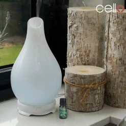 Mixology Fragrance Oil - Pack of 4 - Fairytale Forest