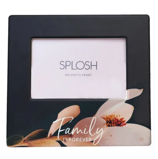 Splosh Flourish Frame - Family 4x6