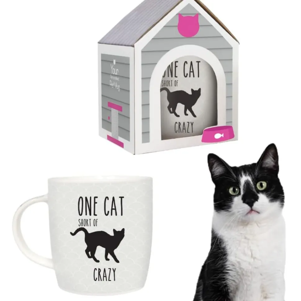 Splosh Pet Mugs - One Cat Short
