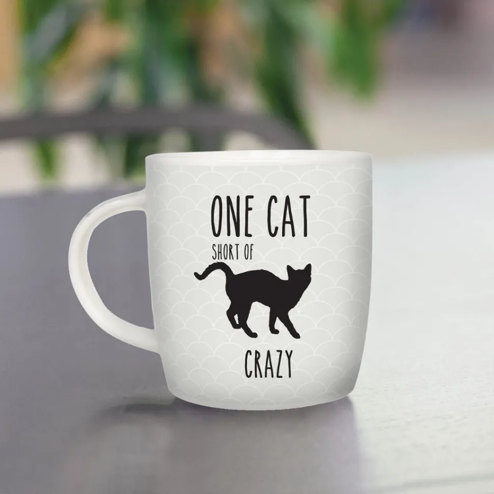 Splosh Pet Mugs - One Cat Short